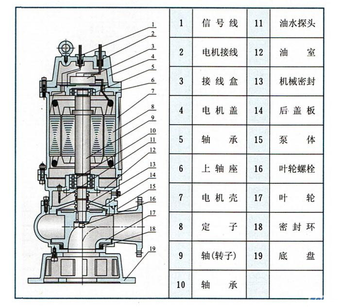 QW(WQ)潜水式无堵塞草莓视频网站在线观看入口(结构图)